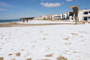 Imatge de la platja d'Altafulla, blanca per la calamarsada d'aquest dilluns a la nit