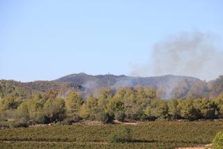 Zona boscosa fumenjant afectada per l&#039;incendi forestal que va cremar a Vespella de Gaià