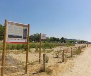 La zona protegida de dunes de la platja Llarga va reduir la zona d&#039;aparcament que hi havia anteriorment.