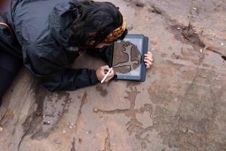 Una arqueòloga fent un dibuix en 3-D dels gravats del jaciment de la Roca de les Ferradures als Cogullons, a Montblanc