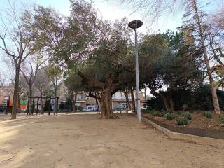 La plaça de Juli Garola és un espai verd amb zones d&#039;estada i de jocs