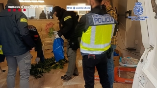 Agents dels mossos, la policia espanyola i la Guàrdia Urbana de Reus durant l&#039;operatiu per desmantellar el grup organitzat que, suposadament, adulterava i distribuïa cocaïna