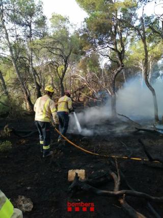 Imatge dels Bombers treballant en els incendis de Sarral i Solivella