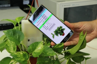 El sensor es clava al terra de la planta o cultiu i envia les dades al telèfon mòbil