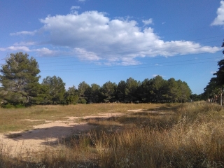 Part dels terrenys situats al costat de l&#039;avinguda de Sant Salvador, a Tarragona, on es projectarà el gran parc lúdic i esportiu