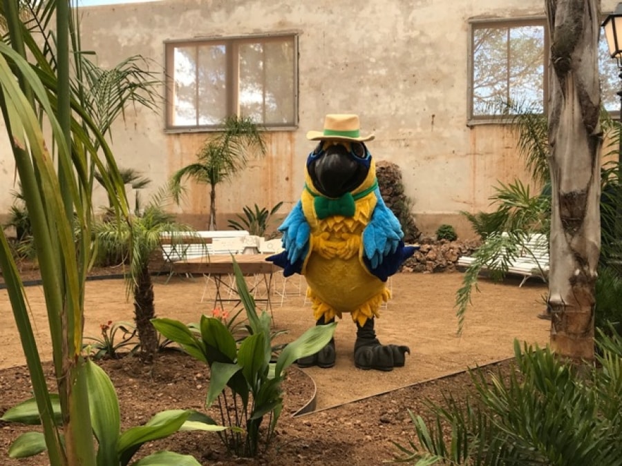 La nova mascota del Parc Samà, Wako, en el nou hivernacles de la finca