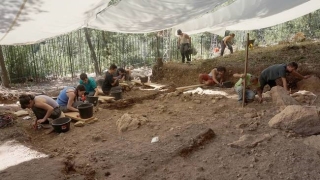 Excavacions al jaciment de la Cova de les Borres, a la Febró (Baix Camp)