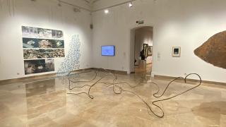 El Museu d’Art Modern de la Diputació de Tarragona (MAMT) va estrenar aquest dissabte al vespre la mostra &#039;Artist s contemporan s&#039;