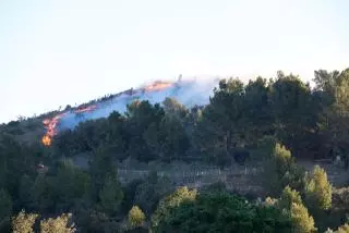 Un incendi crema una zona boscosa a la Selva del Camp