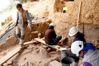 Imatge dels treballs que realitzen els arqueòlegs de l&#039;IPHES al jaciment del Molí del Salt, a Vimbodí i Poblet