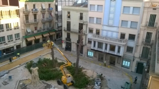Imatge de la plaça Catalunya de Reus, aquest dilluns al matí, en plena tala dels pins