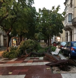 El temporal i l&#039;esclafit del passat 18 d&#039;octubre va causar diverses destrosses al centre de Valls