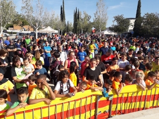 La 39a edició de la Cursa Popular de Santa Úrsula ha tingut novament una alta participació, exactament 924 corredors 