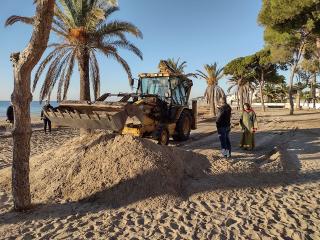La coalcaldessa d&#039;Altafulla, Alba Muntadas, observant els treballs per reconstruir el cordó dunar del parc de Voramar, iniciats dilluns passat