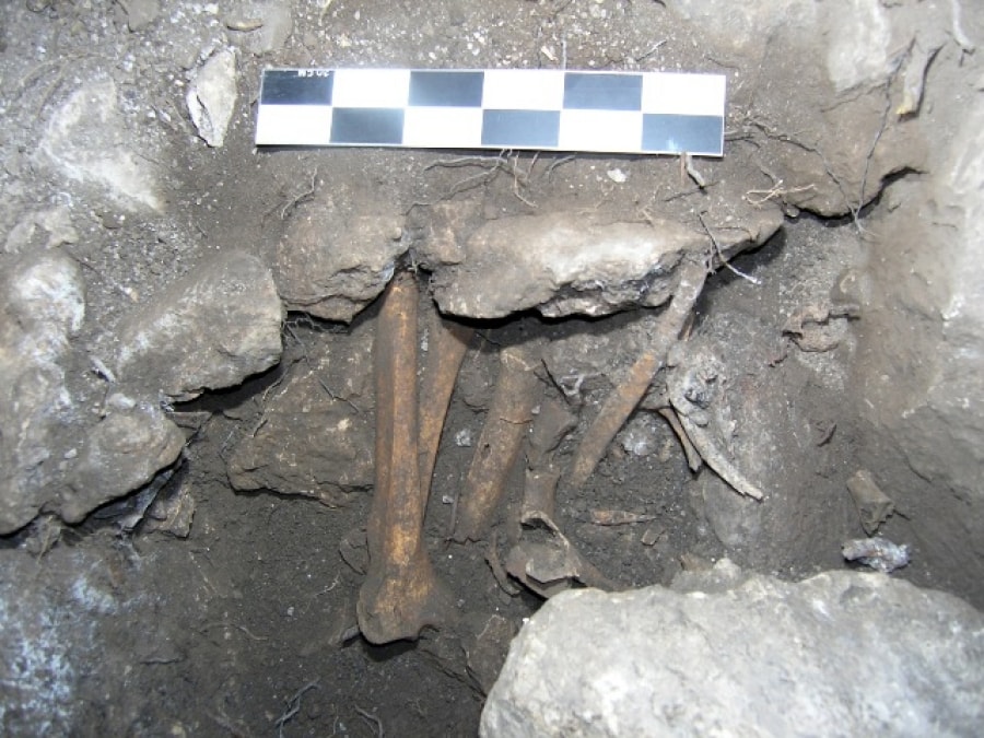 Imatge de la Cova del Gat, a Vandellós i l&#039;Hospitalet de l&#039;Infant, on es pot trobar restes arqueològiques 